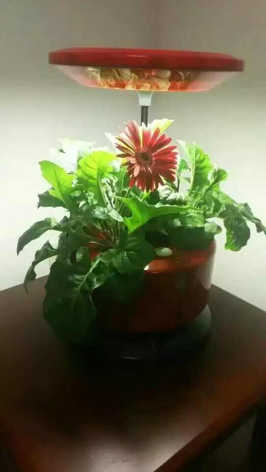 植物生长机进入家庭微耕时代 新品发布会暨招商大会于2015年12月27日盛大开幕