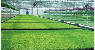 植物生长机进入家庭微耕时代 新品发布会暨招商大会于2015年12月27日盛大开幕